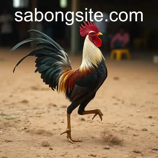 The Intricate World of Sabong: An Exclusive Look